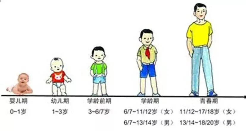 图片8.png