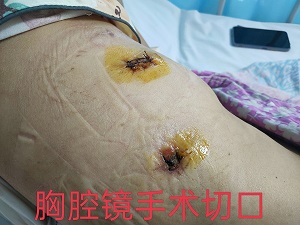 QQ图片20221013150859 - 副本.jpg